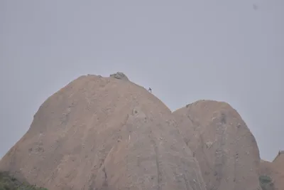 DSC_6837 (Large).JPG